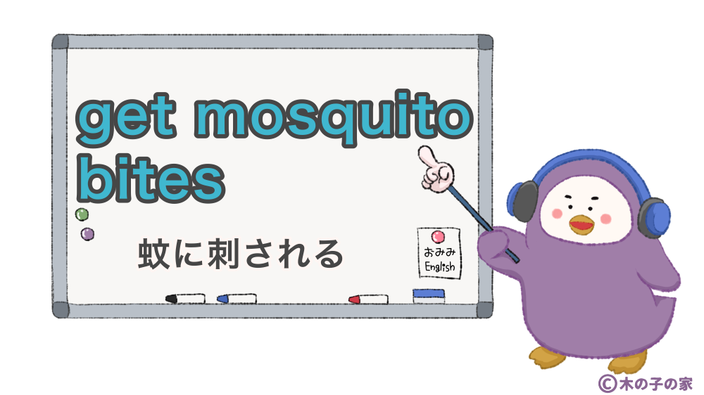 get mosquito bites